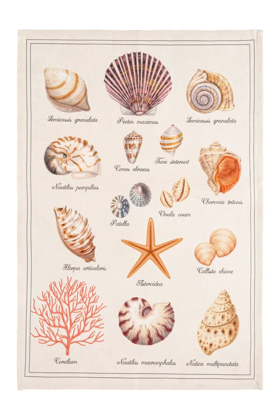 Coucke Treasure of the Sea kjøkkenhåndkle beige 50x75 bomull lin