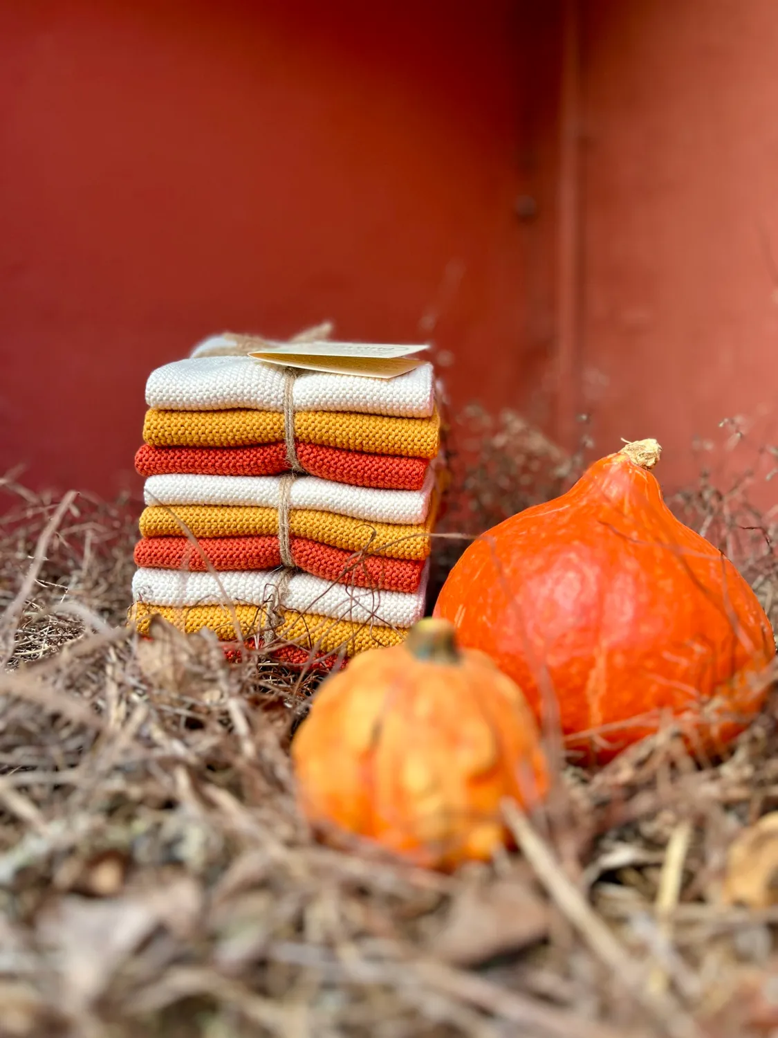 Solwang Pumpkin Kombi karklut økologisk 3-pk