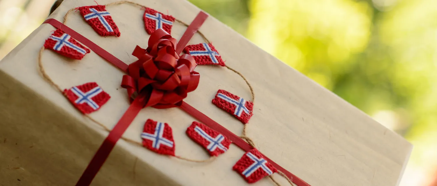 Solwang Norske flagg girlander bomull 20-pk