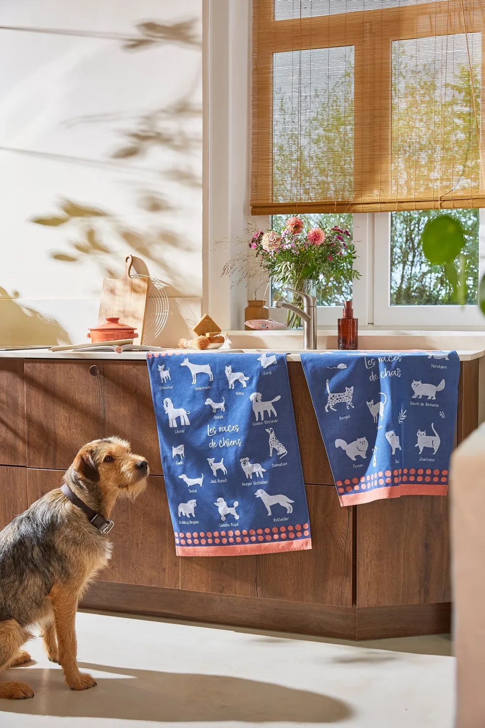 Coucke Dog Breeds Jacquard kjøkkenhåndkle mørkeblått 50x75 cm bomull