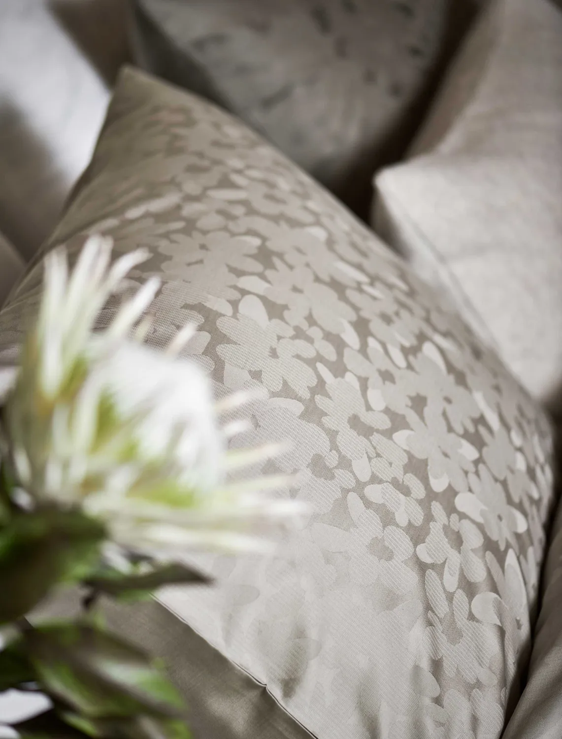 Vandyck Purity Sanremo dynetrekk salie jacquard