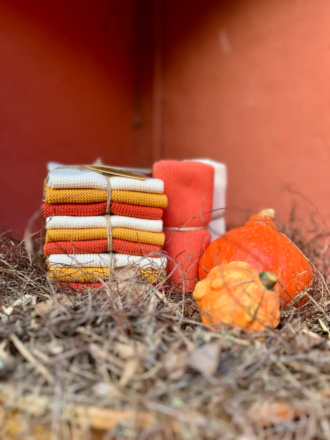 Solwang Pumpkin Kombi karklut økologisk 3-pk