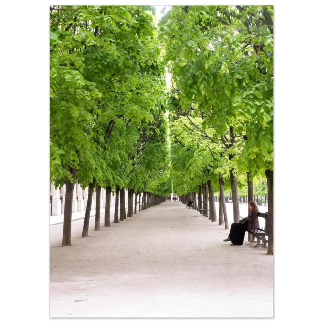 Hellstrøm Jardin du Palais Royal plakat 50x70 cm halvblank
