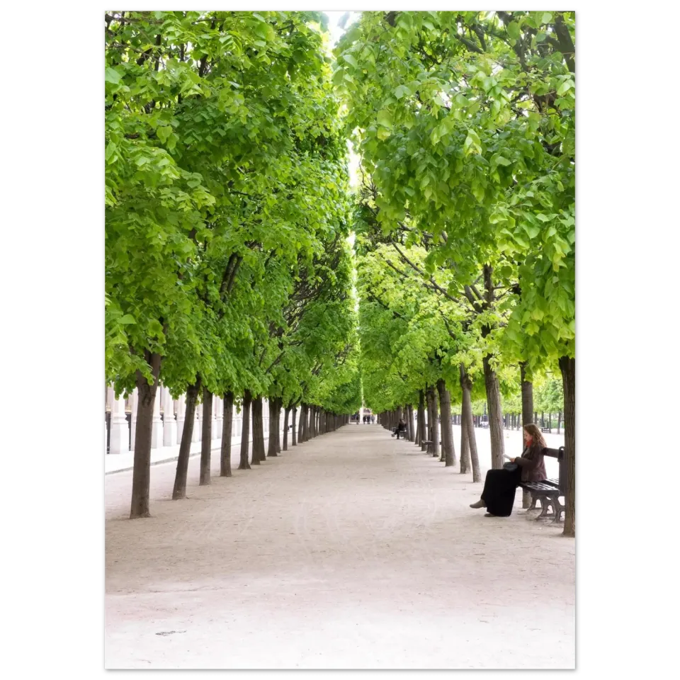 Hellstrøm Jardin du Palais Royal plakat 50x70 cm halvblank