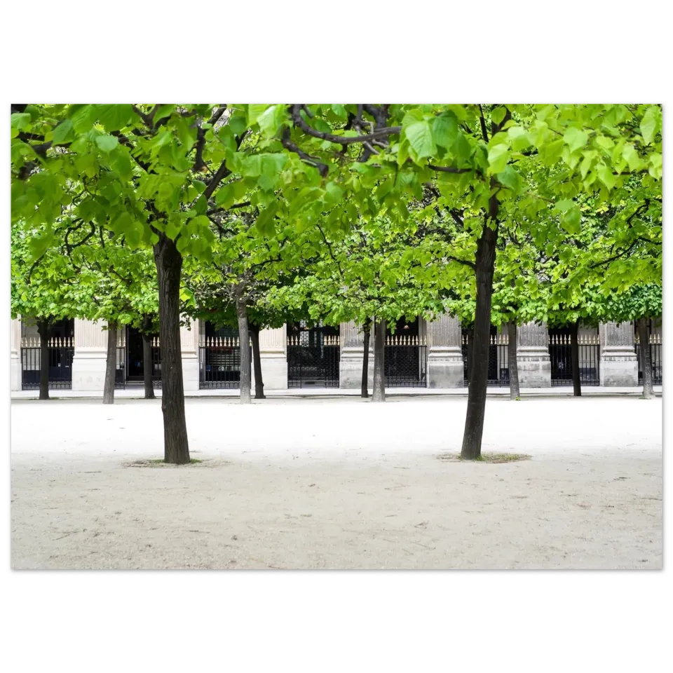 Hellstrøm Jardin des Tuileries Paris kunsttrykk 50x70 cm